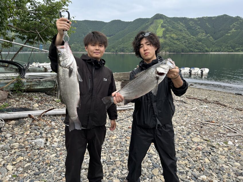 5/29