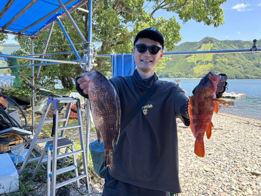 6/1