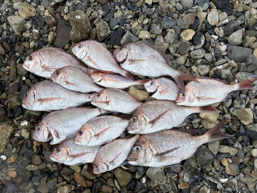 6/8