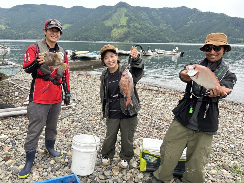 6/8