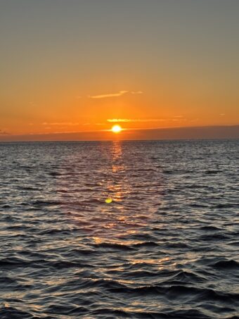 あけましておめでとうございます。