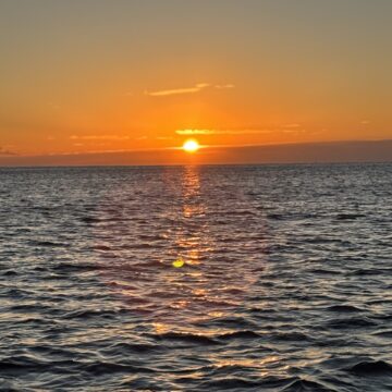 あけましておめでとうございます。