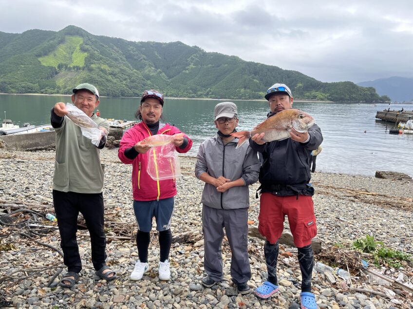 6/6