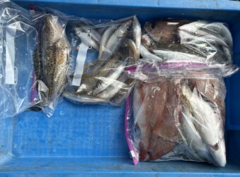 6/6
