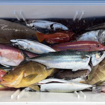 7/4