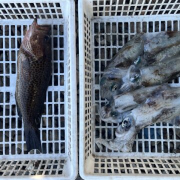 10/2